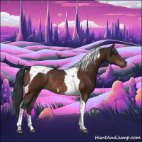 Horse Color:Brown Tobiano Rabicano