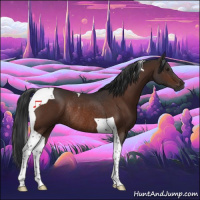 Horse Color:Brown Tobiano Rabicano 