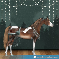 Horse Color:Liver Chestnut Sabino Tobiano 