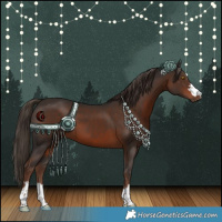 Horse Color:Liver Chestnut 