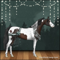 Horse Color:Brown Sabino Tobiano 