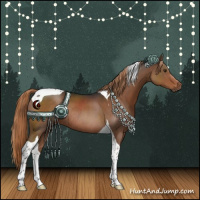 Horse Color:Liver Chestnut Sabino Tobiano Rabicano 