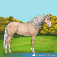 Horse Color:Silver Classic Champagne 
