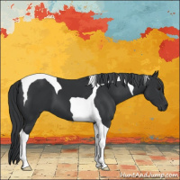 Horse Color:Black Chinchilla Tobiano