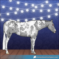 Horse Color:White Spotted Silver Grullo Chinchilla Tobiano Brindle