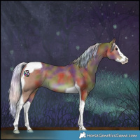 Horse Color:Nacre Silver Black Splash Tobiano 
