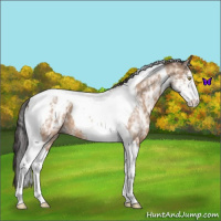 Horse Color:White Spotted Sable Champagne Tobiano