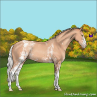 Horse Color:White Spotted Silver Classic Champagne 