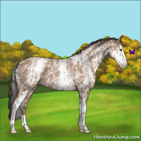 Horse Color:White Spotted Classic Champagne