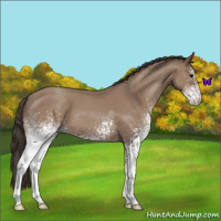 Horse Color:White Spotted Classic Champagne 