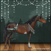 Horse Color:Liver Chestnut Tobiano Rabicano 