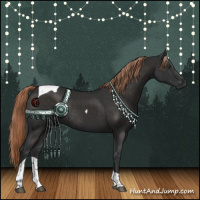 Horse Color:Liver Chestnut Tobiano Rabicano