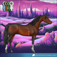 Horse Color:Brown Tobiano