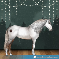 Horse Color:Gray Liver Chestnut Tobiano 
