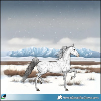 Horse Color:Blue Roan Sabino Appaloosa Rabicano 
