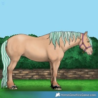 Horse Color:Painted Silver Amber Champagne 