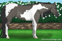 Horse Color:Grullo Tobiano 