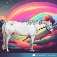 Horse Color:Smoky Blue Roan Appaloosa 