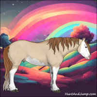 Horse Color:Red Dun Splash 