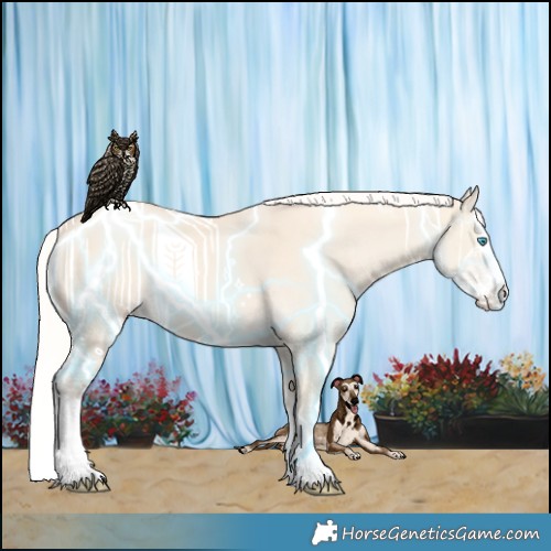 Horse Color:Cremello Splash 