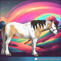 Horse Color:Buckskin Dun Splash Tobiano 