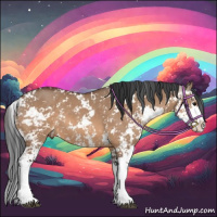 Horse Color:Bay Dun Sabino 