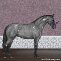 Horse Color:White Spotted Blue Roan Snowflake Varnish