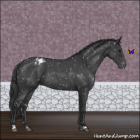 Horse Color:Blue Roan Snowflake Varnish