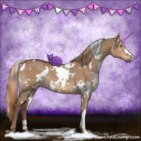Horse Color:White Spotted Liver Red Dun 