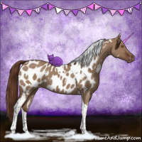Horse Color:White Spotted Liver Red Dun Tobiano Appaloosa 