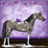 Horse Color:White Spotted Grullo Tobiano 