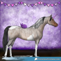 Horse Color:Brown Roan Dun Tobiano