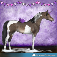 Horse Color:Brown Dun Tobiano