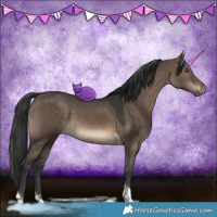 Horse Color:Brown Dun Tobiano 