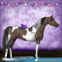 Horse Color:Brown Dun Tobiano