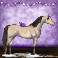 Horse Color:White Spotted Bay Dun 