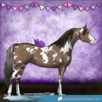Horse Color:White Spotted Liver Red Dun Sabino 