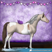 Horse Color:Classic Champagne Dun Tobiano 