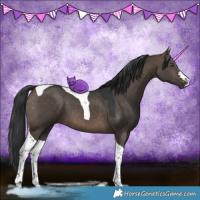 Horse Color:Brown Dun Tobiano 