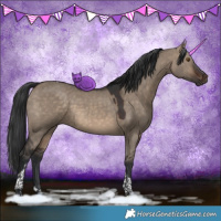 Horse Color:Brown Dun Tobiano 