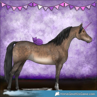 Horse Color:Brown Dun Tobiano 