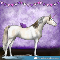 Horse Color:Buckskin Pearl Dun Sabino Tobiano
