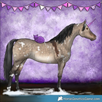 Horse Color:White Spotted Brown Dun 