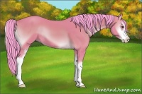 Horse Color:Watercolor Bay Onyx Sabino 