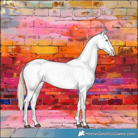 Horse Color:Chocolate Palomino Dun Appaloosa Brindle 
