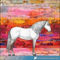 Horse Color:Gray Liver Red Dun Appaloosa 