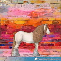 Horse Color:Buckskin Pearl Dun Splash Rabicano 