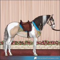 Horse Color:Bay Dun Splash Tobiano 