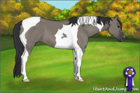 Horse Color:Grullo Tobiano