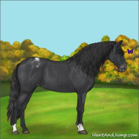 Horse Color:Blue Roan Varnish 